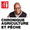 RFI podcast Chronique Agriculture et Pêche avec Sayouba Traoré