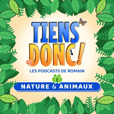 Tiens donc !