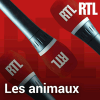 RTL podcast Les animaux avec Hélène Gateau