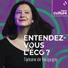 France Culture podcast Entendez-vous l'éco ? avec Tiphaine de Rocquigny