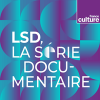 France Culture podcast LSD Perrine Kervran