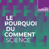 France Culture podcast Le Pourquoi du comment : science avec Etienne Klein