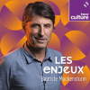 France Culture podcast Les Enjeux avec Baptiste Muckensturm