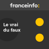 France Info podcast Le vrai du faux avec Antoine Krempf