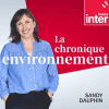 France Inter podcast La chronique environnement Sandy Dauphin