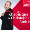France Inter podcast La chronique de Christophe André avec Christophe André
