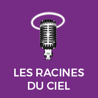 Podcast Les Racines Du Ciel France Culture